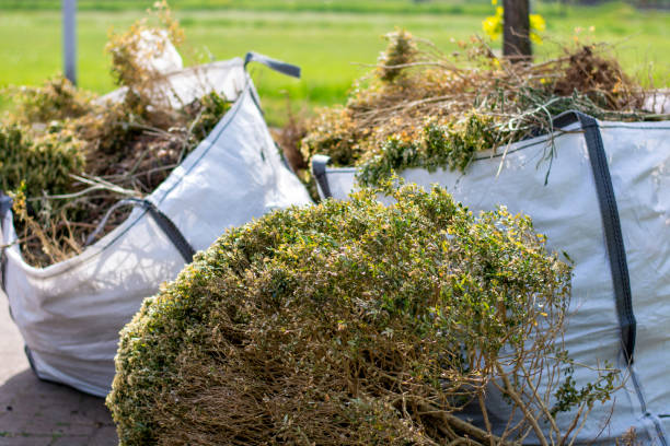 Full-Service Junk Removal in West Pensacola, FL
